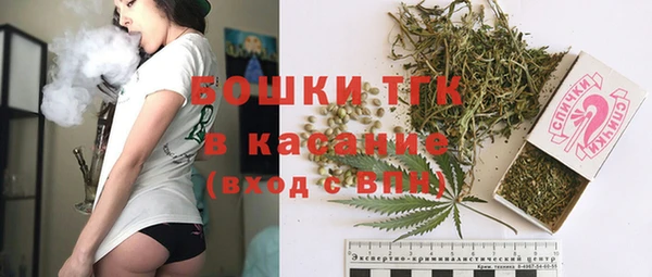 прущие крисы Вяземский