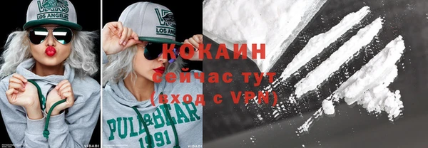 прущие крисы Вяземский